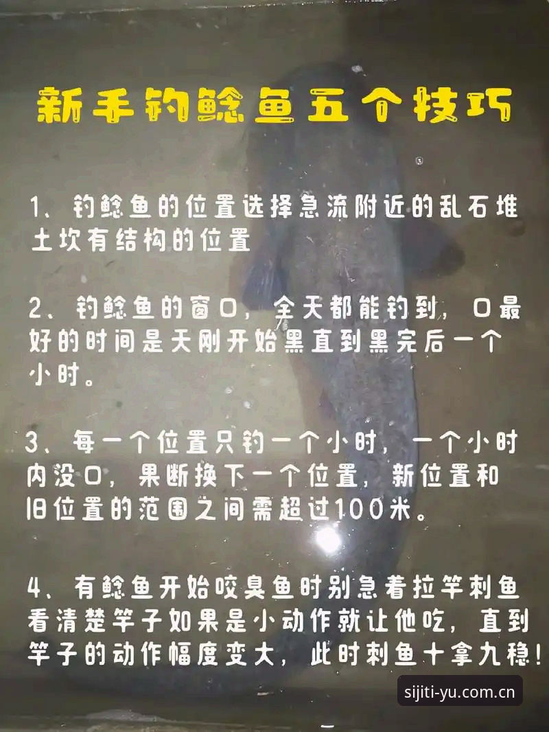 如何快速完成四季体育最新版本下载？一份给新手的详细操作指南